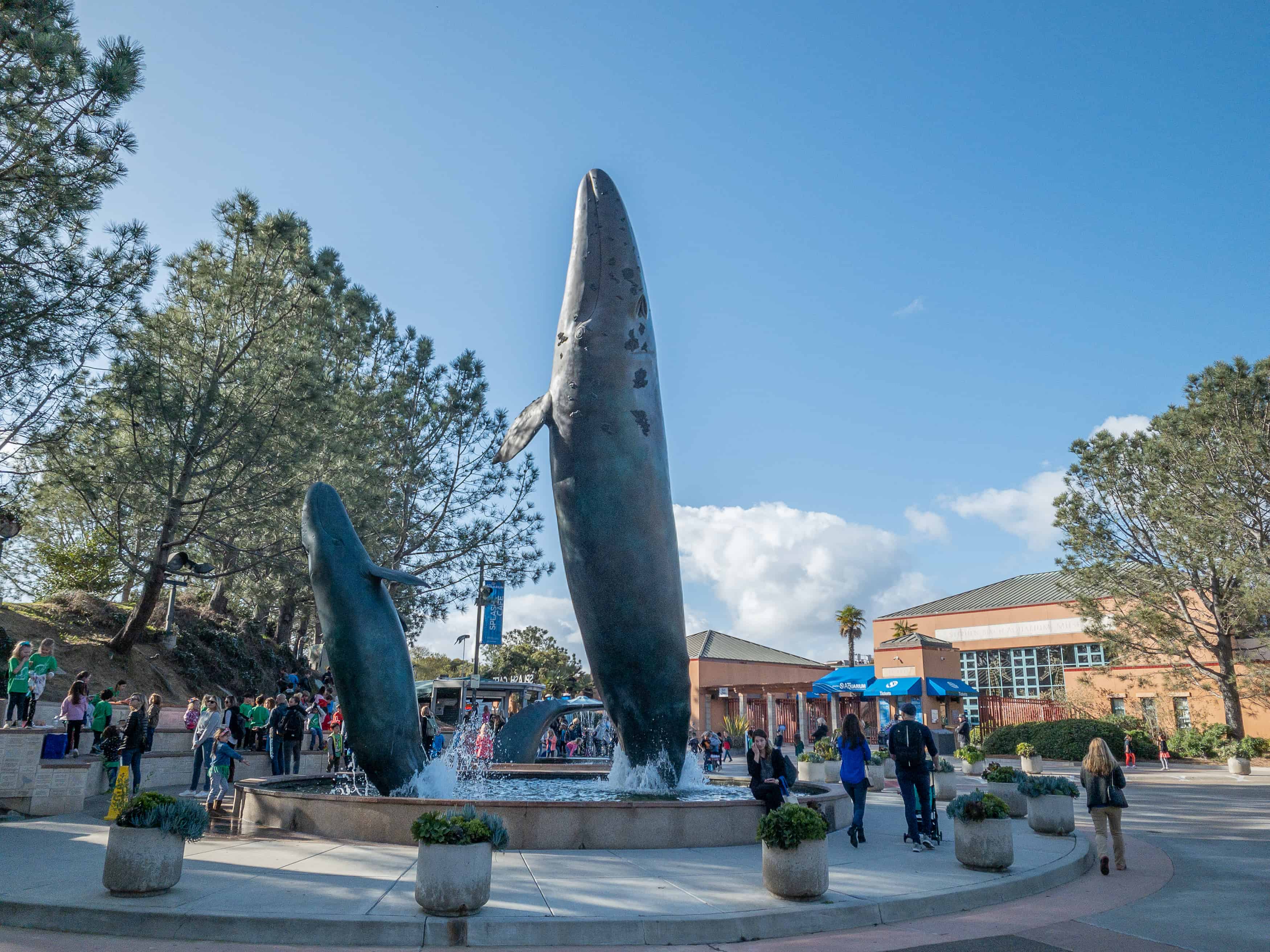 San-Diego-Attraction-Birch-Aquarium-Museum-La-Jolla-IMG_0236.jpg